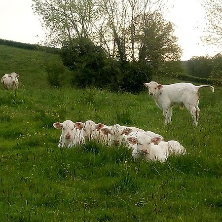 Gite A La Ferme Le Rousset ภายนอก รูปภาพ