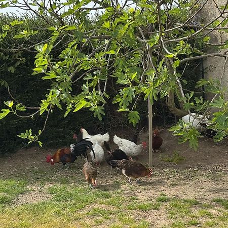 Gite A La Ferme Le Rousset ภายนอก รูปภาพ
